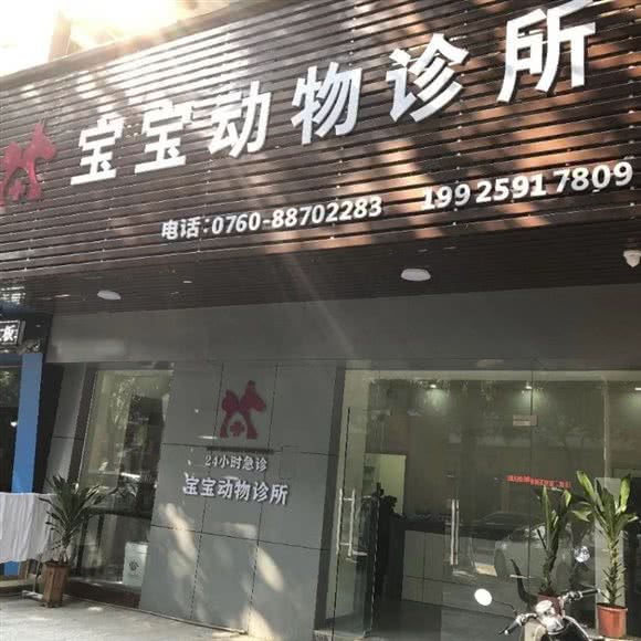宝宝宠物诊所:中山市东区街道竹苑周边附近