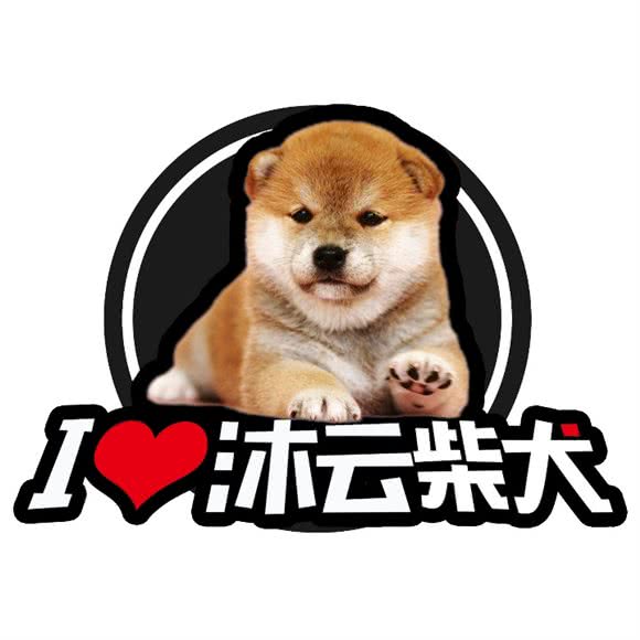 沐云秋田柴犬专门店(需提前预约):北京城区朝阳区常营附近