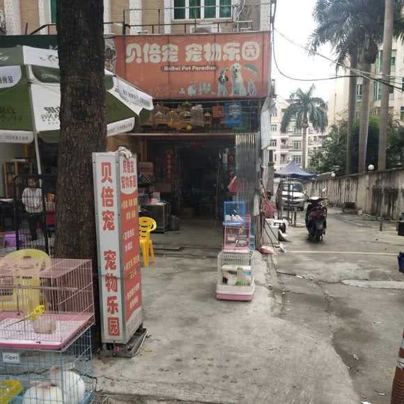 贝倍宠 宠物乐园:中山市东区街道白沙湾/沙岗墟附近