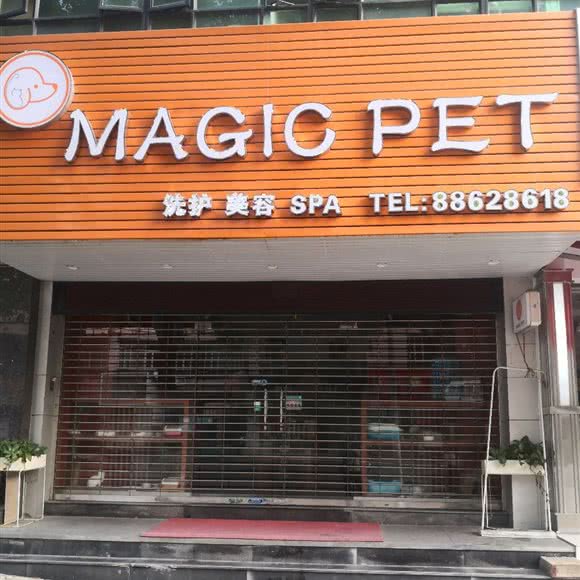 MAGIC PET:中山市东区街道京华酒店附近