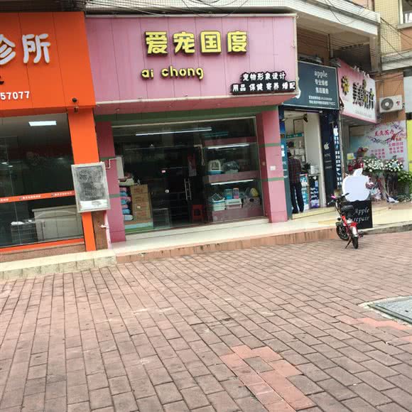爱宠国度:中山市石岐街道大信新都汇附近
