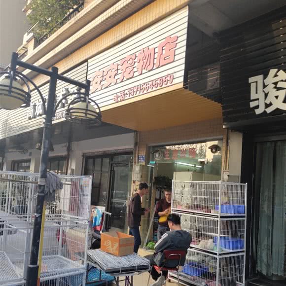安安宠物店:中山市石岐街道峰华28广场附近