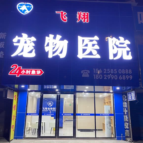 飞翔宠物医院·24小时:中山市石岐街道悦来南路附近
