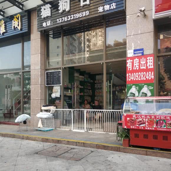 猫狗日记宠物店:中山市西区街道黄金广场/汽车总站附近