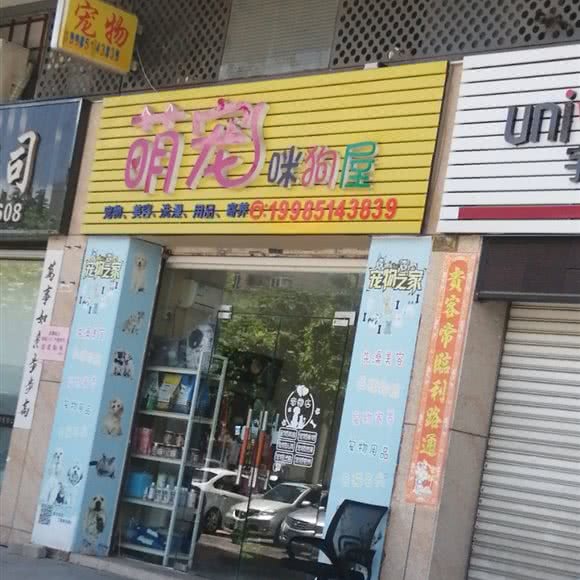 萌宠咪狗屋:中山市西区街道大信新家园附近