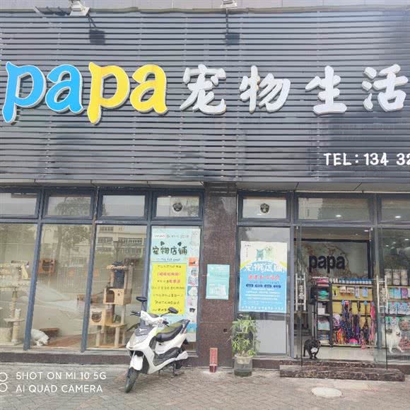 papa宠物生活馆:中山市南区街道万科一带附近