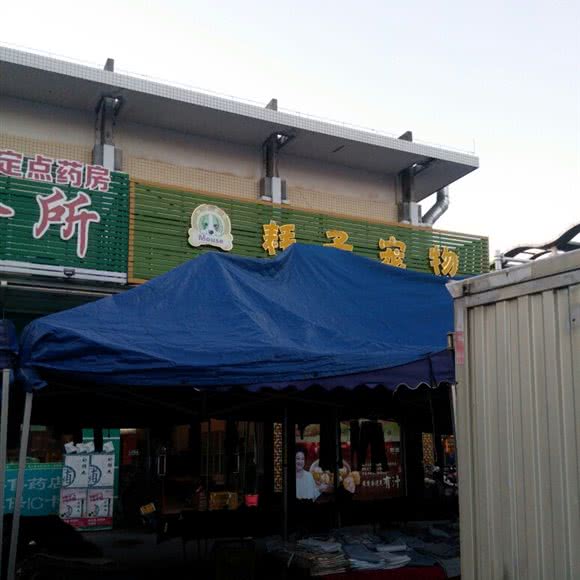 耗子宠物店:中山市南朗镇南朗车站附近