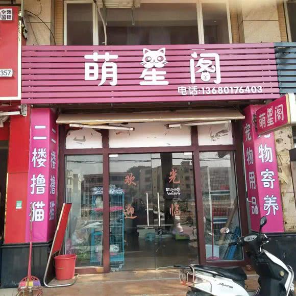 萌星阁宠物店:中山市火炬高技术产业开发区中山港壹加壹附近