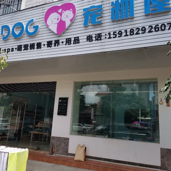 CATのDOG宠物屋:中山市三角镇福源北路附近