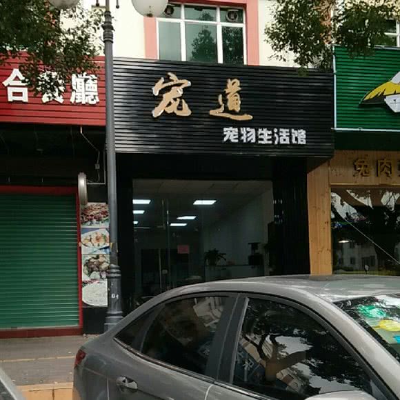 宠道宠物生活馆:中山市三乡镇顺昌广场附近