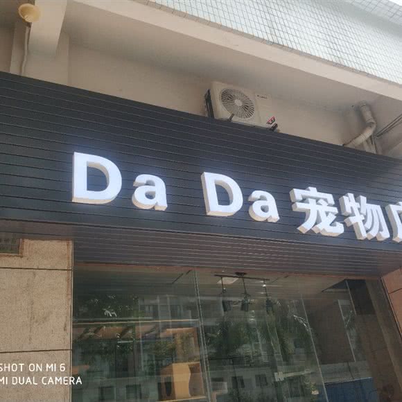 DaDa宠物店:中山市沙溪镇星宝附近