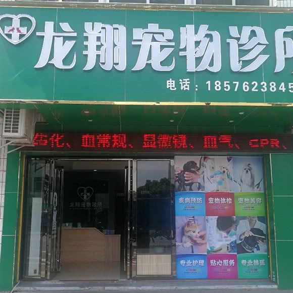 龙翔宠物诊所:中山市沙溪镇星宝附近