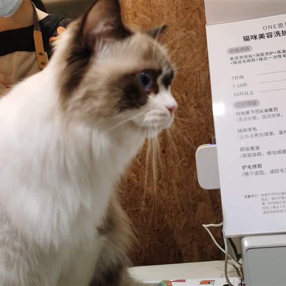 ONE壹猫生活:中山市小榄镇小榄城轨站附近