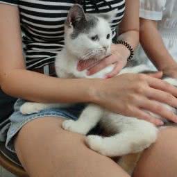 卡尔宠物生活馆:中山市小榄镇小榄城轨站附近