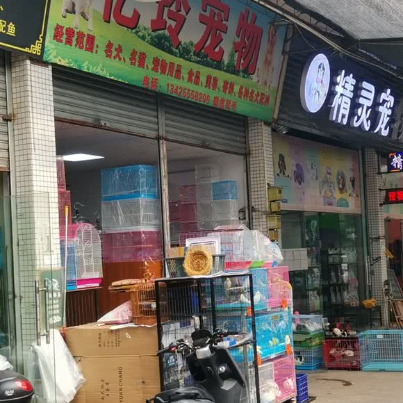 亿玲宠物:中山市小榄镇小榄城轨站附近