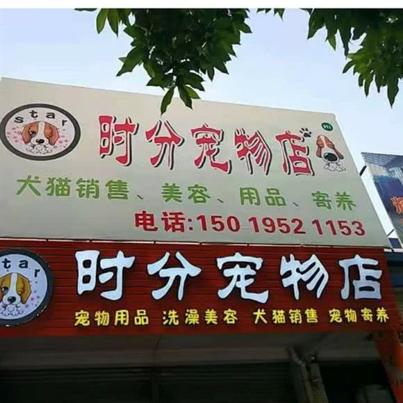 时分面包店:中山市小榄镇小榄城轨站附近