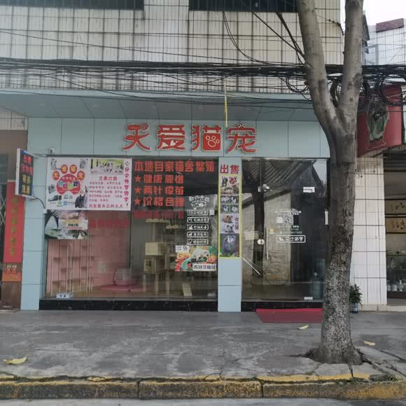 天爱猫宠:中山市小榄镇小榄城轨站附近