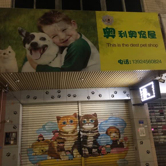 奥利奥宠屋:中山市小榄镇小榄城轨站附近