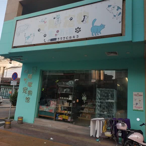 爱斯萌猫馆:中山市小榄镇小榄城轨站附近