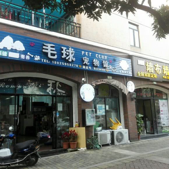 毛球宠物馆:中山市东凤镇东凤附近