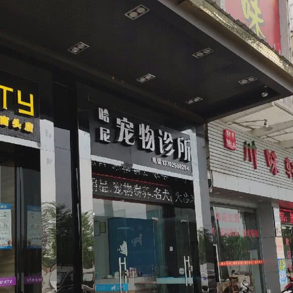 哈尼宠物诊所:中山市东凤镇东凤附近