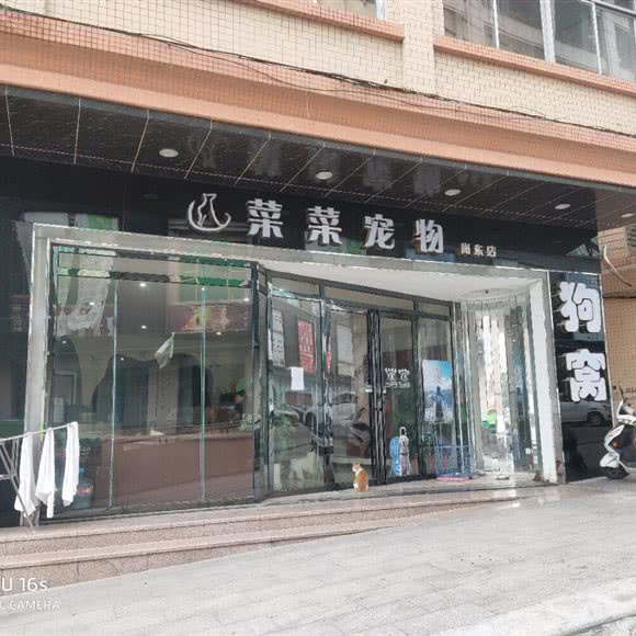 菜菜宠物(岗东店):中山市古镇镇国贸附近