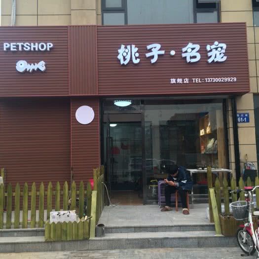 桃子名宠:邯郸市丛台区新春美食林附近