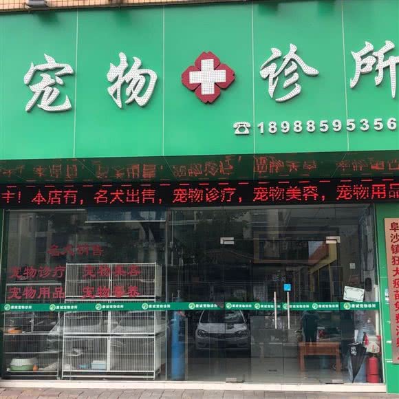 康诚宠物诊所(阜沙店):中山市阜沙镇阜成路附近