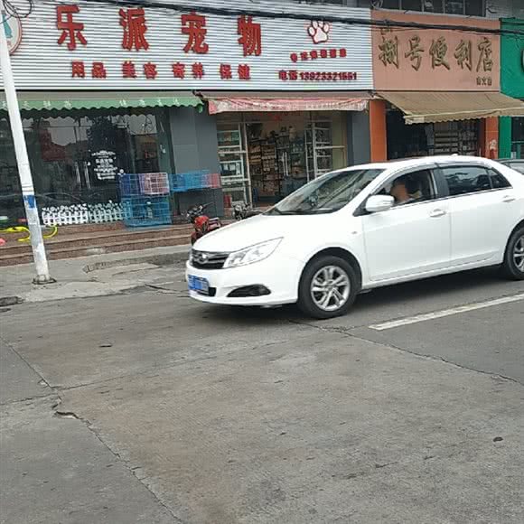 乐派狗狗:中山市大涌镇华泰路附近
