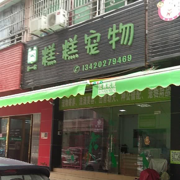 糕糕宠物:中山市大涌镇大涌车站附近
