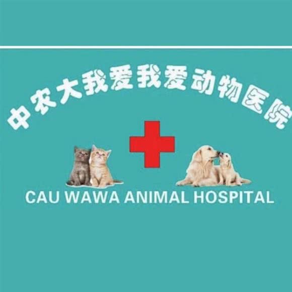 中农大我爱我爱陶然亭动物医院:北京城区西城区