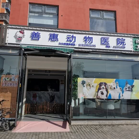 善惠动物医院:北京城区朝阳区
