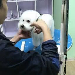 牧和邻宠物会所(尚峰尚水店):北京城区海淀区