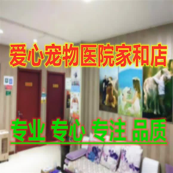 爱心宠物医院(家和店):邯郸市丛台区鑫港国际附近