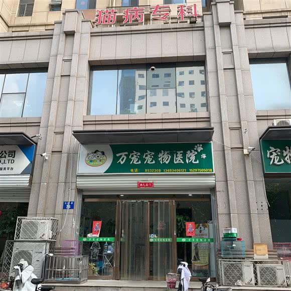 万宠宠物医院:邯郸市丛台区行政大厅附近