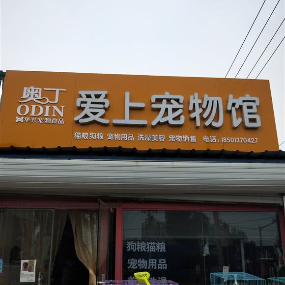 奥丁爱上宠物馆:北京城区通州区
