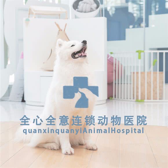 全心全意连锁动物医院犬科+猫专科24小时(常营店):北京城区朝阳区常营附近