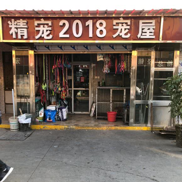 精宠2018宠屋:邯郸市复兴区复兴商贸城附近