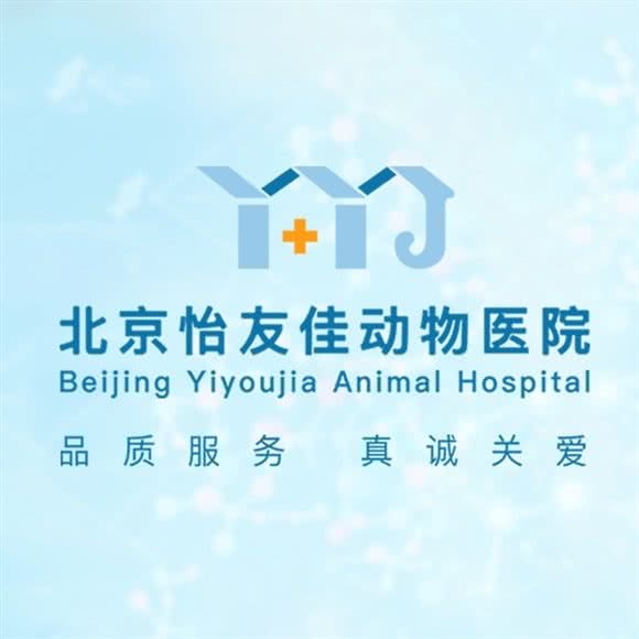 怡友佳动物医院(通瑞嘉苑店):北京城区通州区