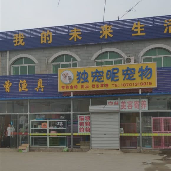 独宠昵宠物店:北京城区顺义区