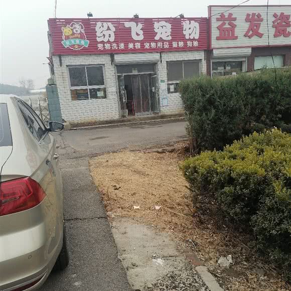 纷飞宠物狗:北京城区顺义区