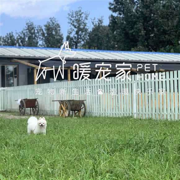 暖宠家宠物寄养乐园:北京城区顺义区