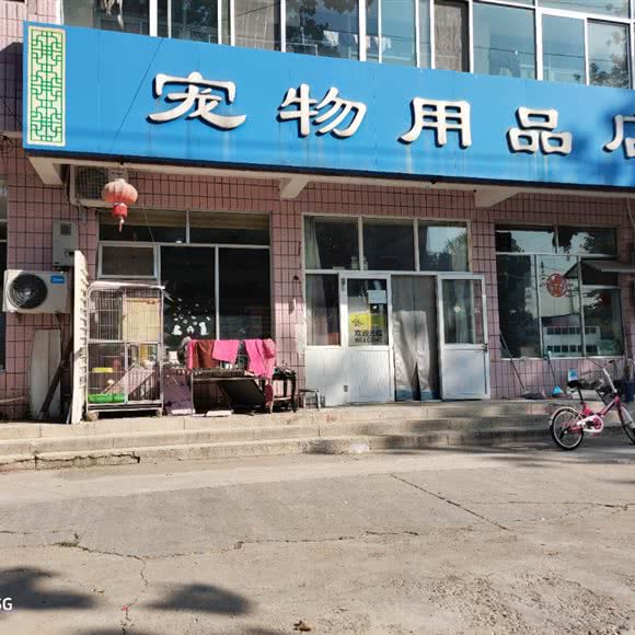 宠物用品店:北京城区顺义区