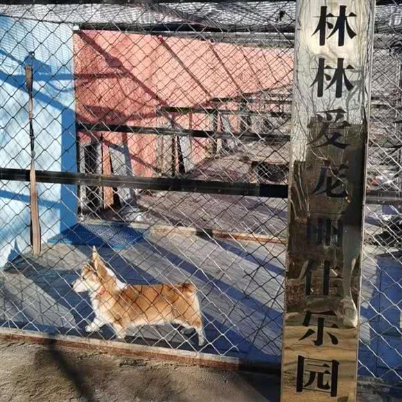 林林爱宠丽佳乐园:北京城区昌平区