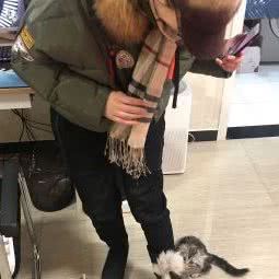 清亮猫舍:北京城区昌平区