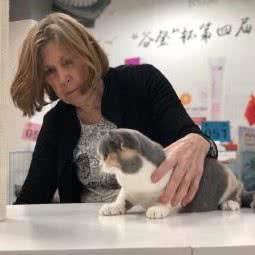 小郎的猫猫:北京城区昌平区
