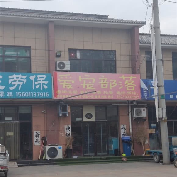 爱宠部落:北京城区大兴区