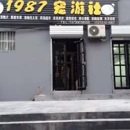 1987宠游社宠物店:邯郸市复兴区赵苑附近