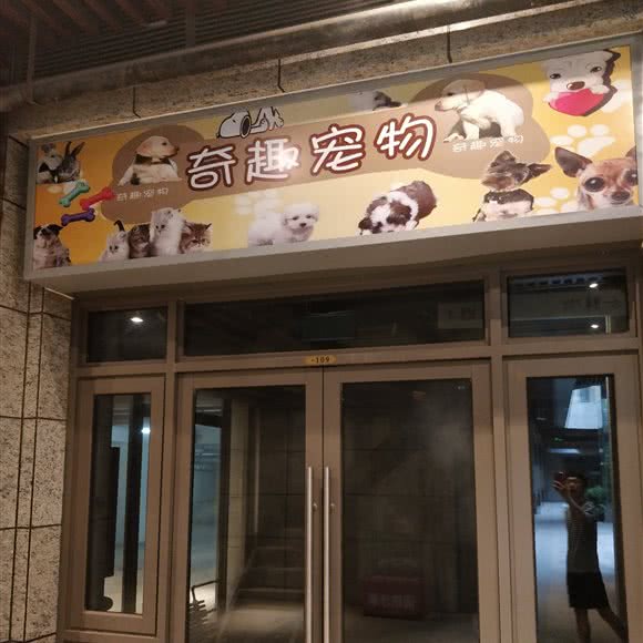 奇趣宠物:北京城区大兴区