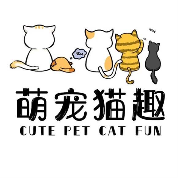 萌宠猫趣:北京城区密云区